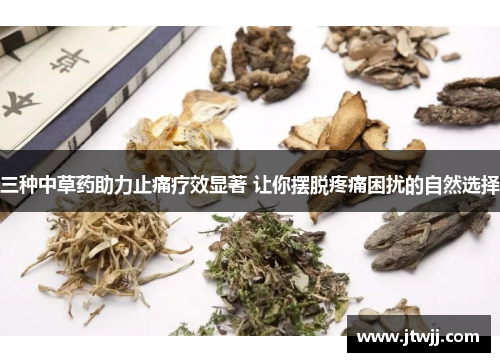 三种中草药助力止痛疗效显著 让你摆脱疼痛困扰的自然选择