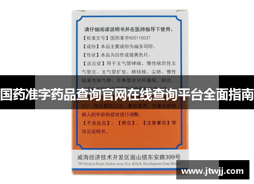 国药准字药品查询官网在线查询平台全面指南