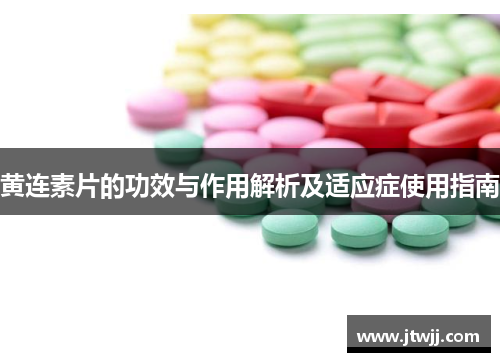 黄连素片的功效与作用解析及适应症使用指南