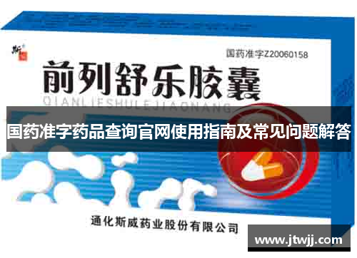 国药准字药品查询官网使用指南及常见问题解答